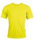 Fluorescent Yellow